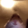 dovisgtx