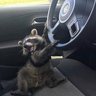 Taxalo