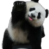 CheekyPandaBoy