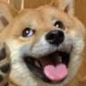 HDcookie