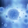 cell_name