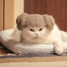 meowkitty123