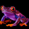 Purpleintegra