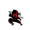 The Ninja