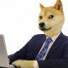 DaCool