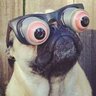 Rapatic
