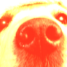 nusse