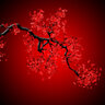 GALEX5RED