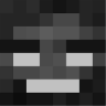 WitherSurvival