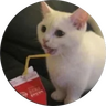 milko42