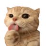 grzypsonn