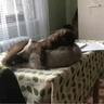 misterfunny01