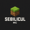 Sebilicul