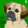 Pugle