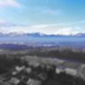 Svirac