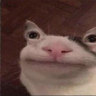 Noodlez