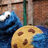 CookieTheDev