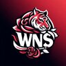wnesles studio