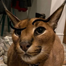 moondustz