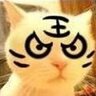 TigerSkinCatSAMA