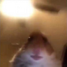 PvPMXR