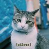 SilverServices