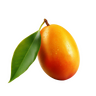 mangos