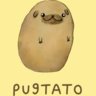 Potqto
