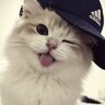 aceeyt