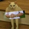 devistrap