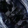 nexusnest