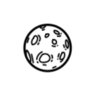 TeamLuna