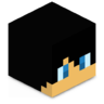 IWentPro