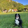 xXMoritzXx