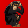 Code Monkey