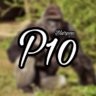 HarambeTakeUrP10