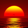 redsky