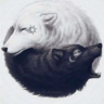 Axel235