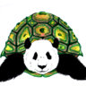 PandaTurtle