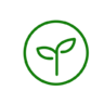 Sapling