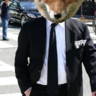 FoxelVox