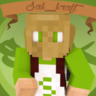 Sak_Kraft