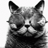 Noblefish_