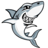 Shark Services