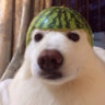 ChesterCheeto_