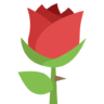 Rose C.