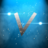 Viariouz