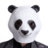 PandaNetwork