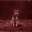 Wolf123