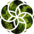 LeafySeaRabbit